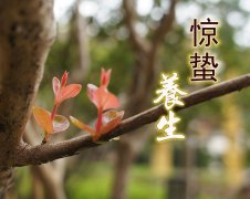 惊蛰时节饮食养生有秘